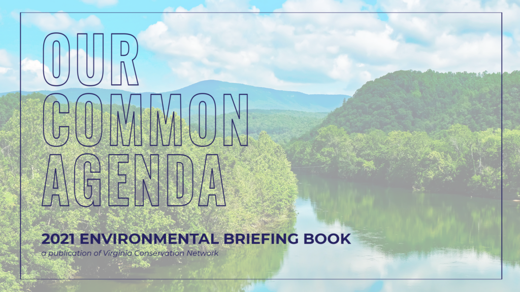 Our Common Agenda Virginia Conservation Network