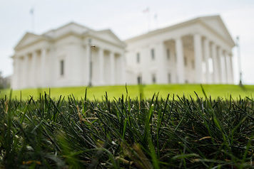 Virginia Capitol Grass