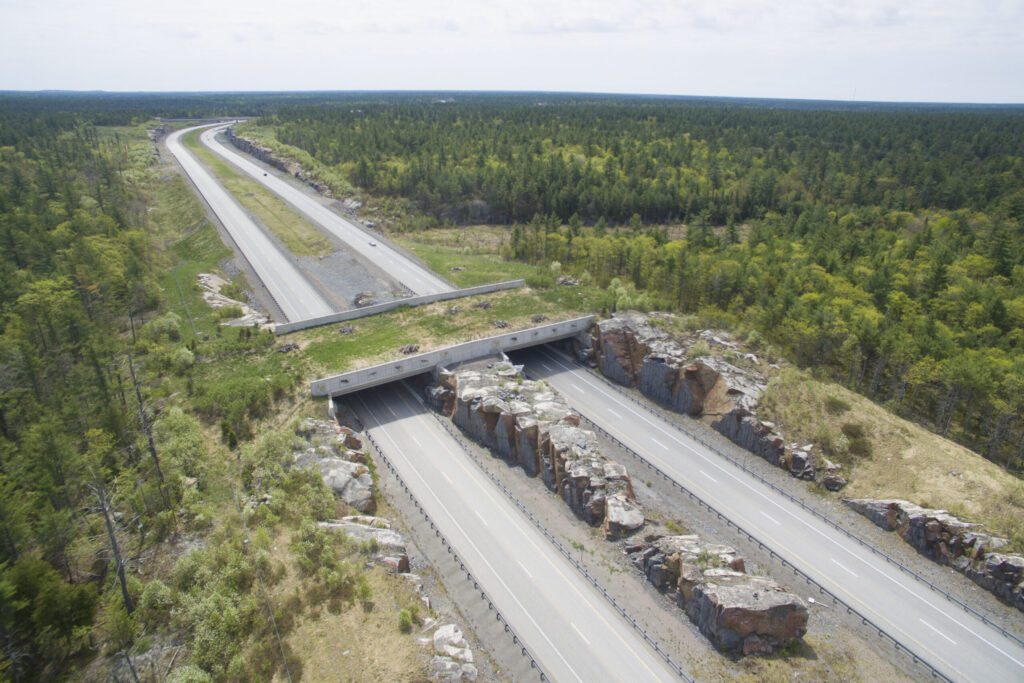 Wildlife Corridor Aerial_Ontario, Canada.jpg