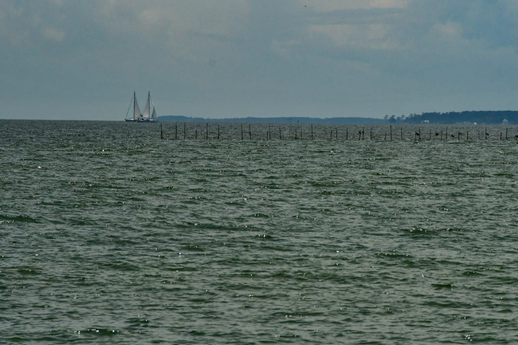 The Chesapeake Bay at Windmill Point, VA