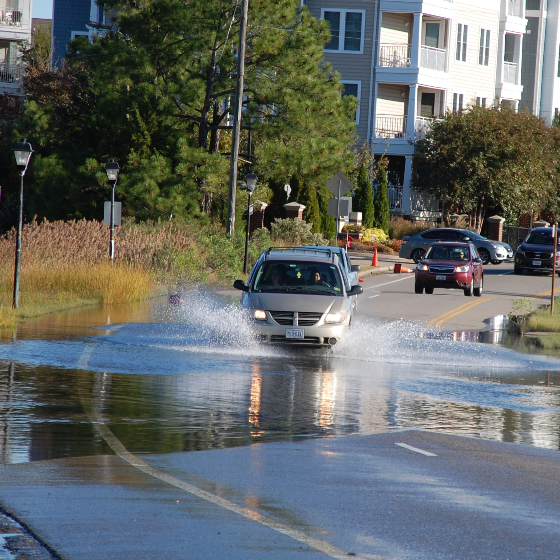 Flood Resiliency - Virginia Conservation Network