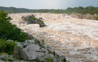 Great Fall River at Flood Level