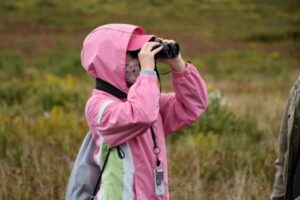 Andreana J. Lin Birdwatching