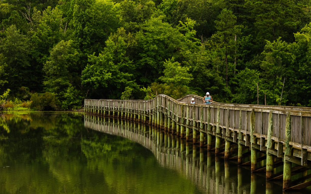 Morning Stroll at Newport News Park