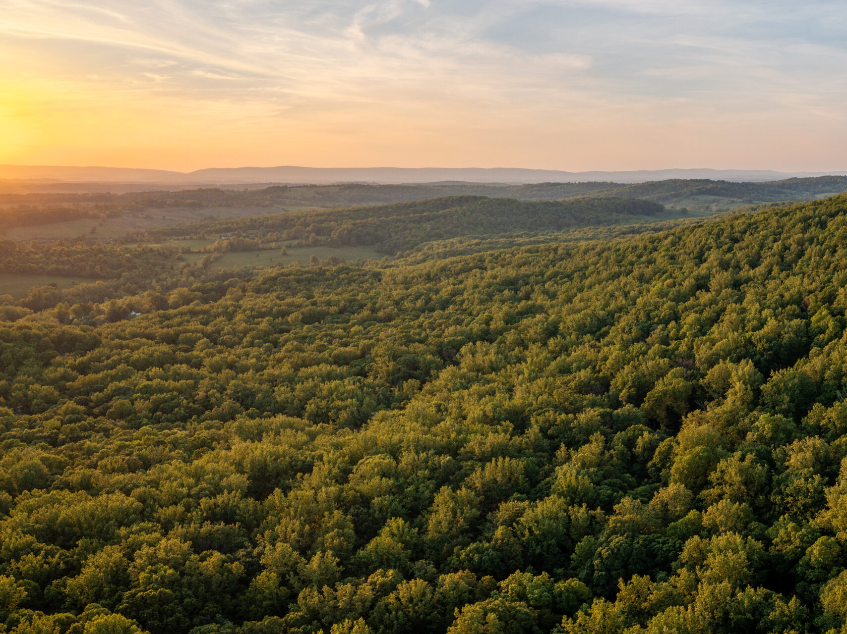 About - Virginia Conservation Network