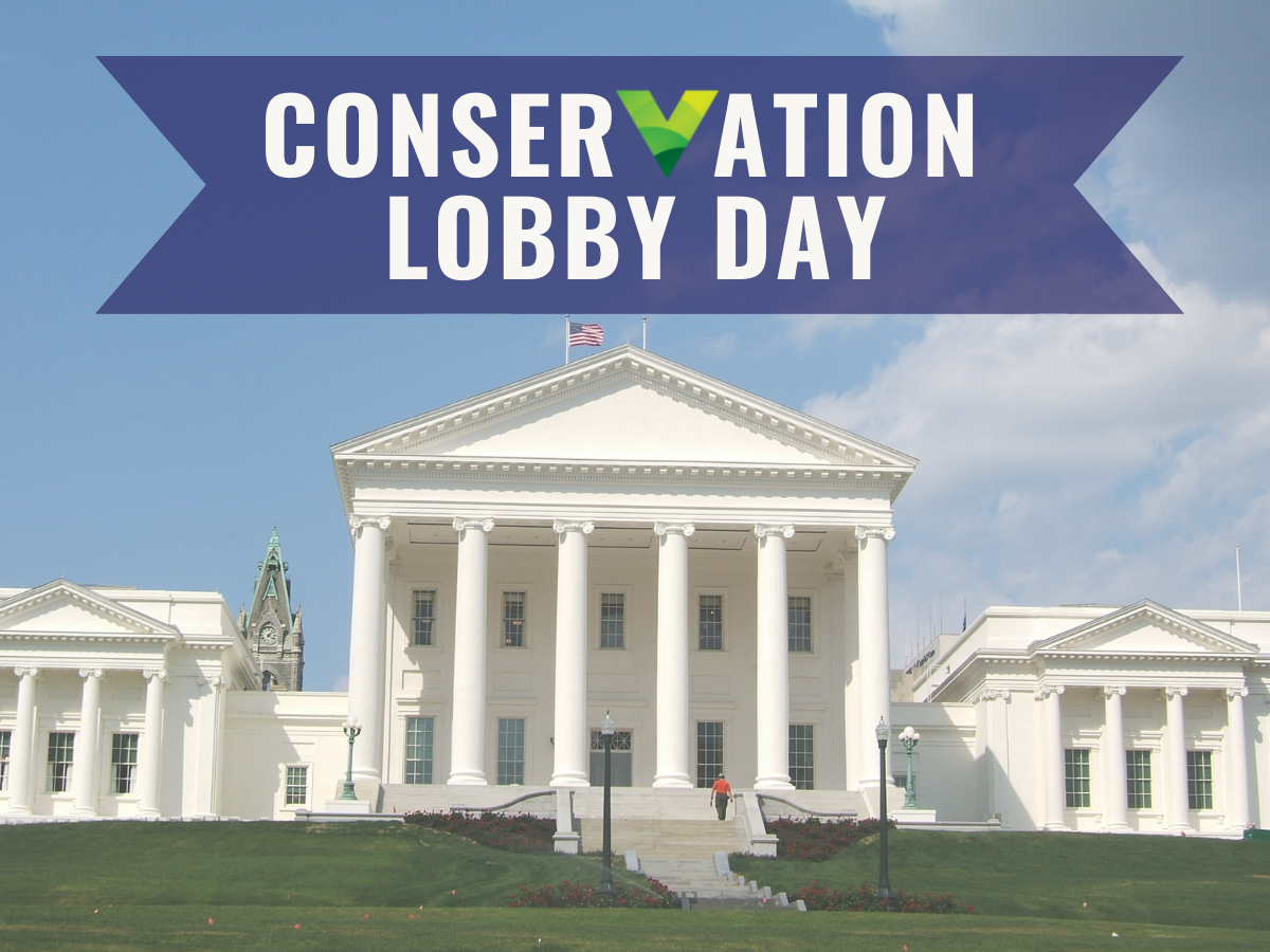 Advocate for Environmental Action at VCN’s 2023 Conservation Lobby Day
