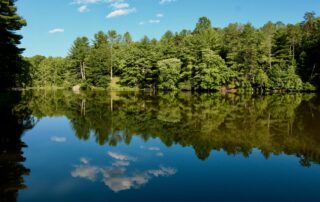 Forest Lake in Earlysville, Virginia. Photo by Michael Proechel.
