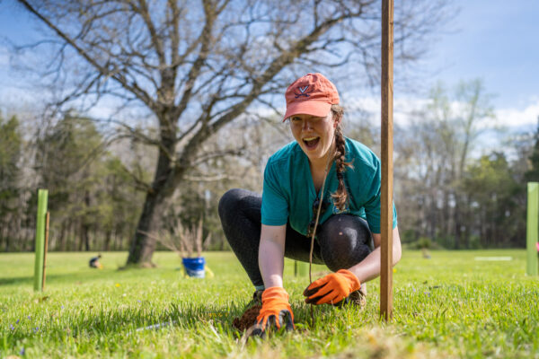 Woman planting a tree sapling at Thunder Lane Farm in Culpeper, Virginia.