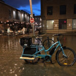 E-bike in Floodwaters - Alexandria - Bill Pugh
