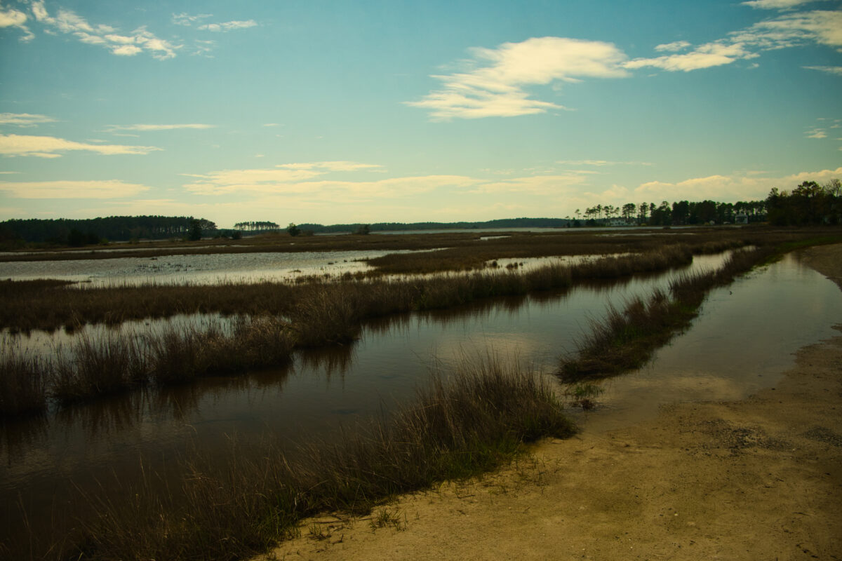 Home - Virginia Conservation Network