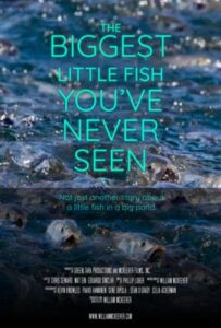 Menhaden: The Biggest Little Fish You've Never Seen with Director William McKeever