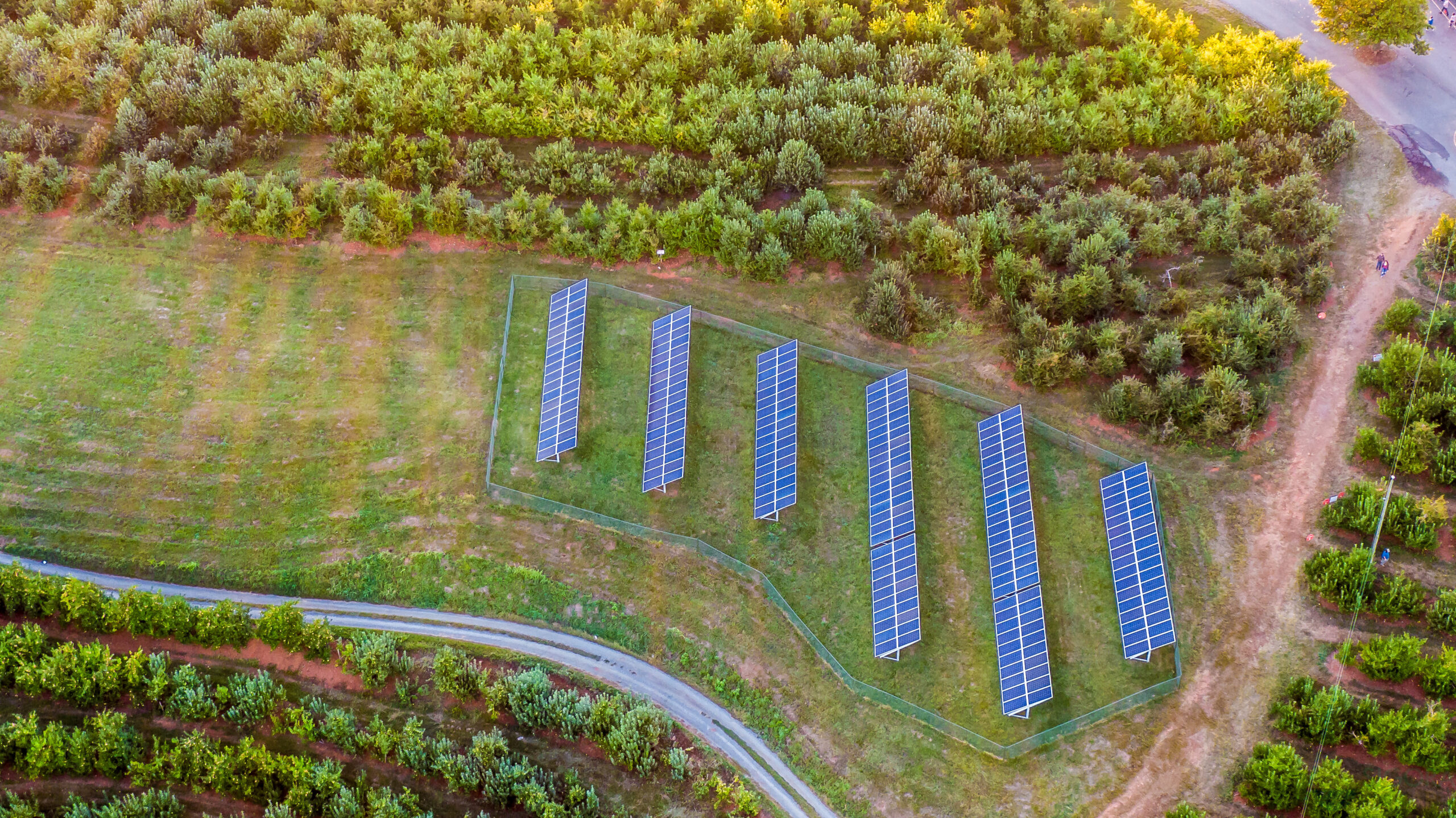 Carter Mountain Orchard (2), Charlottesville – Sarah Stryker Rooftop Solar at Hark Vineyards in Earlysville, VA. Image credit: Sarah Stryker