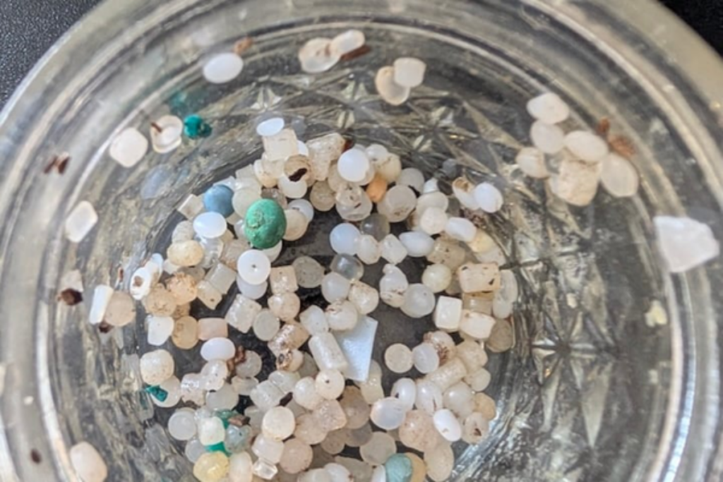 Plastic Pellets, Environment Virginia