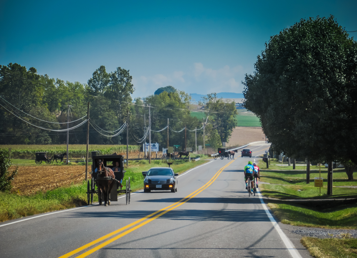 Bicycles-Buggies-Cars_Rockingham-County_Sandra-Parks