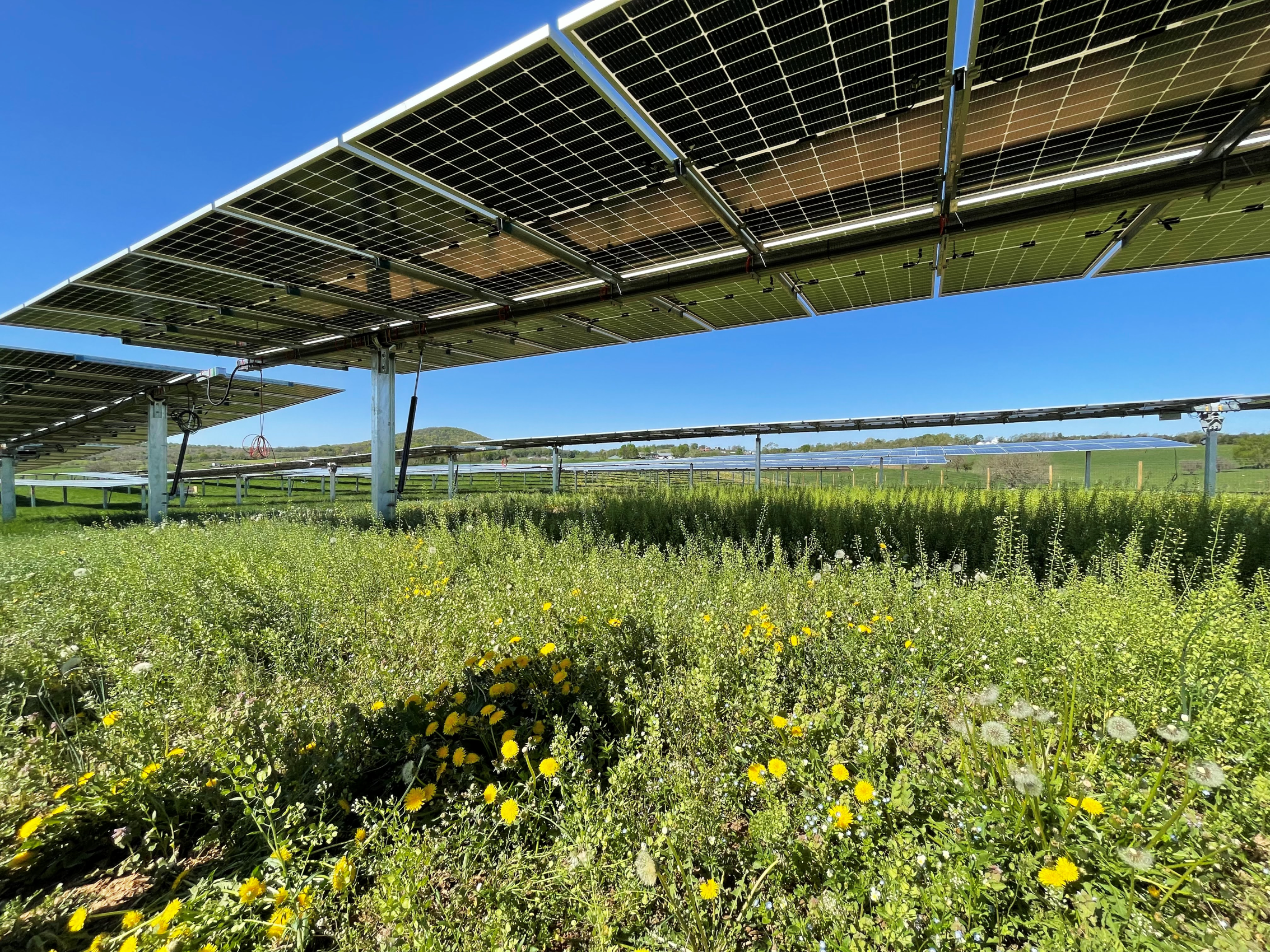 Solar Facility Tour_Shenandoah_panel underside 2_Staff Retreat 2023